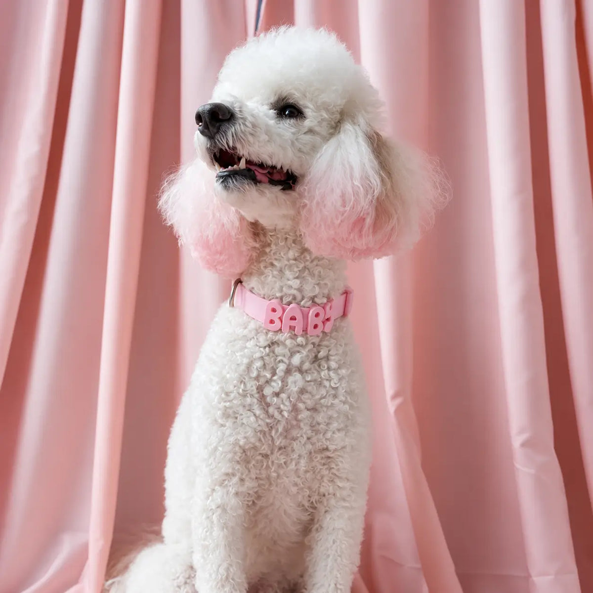#Color_Baby Pink