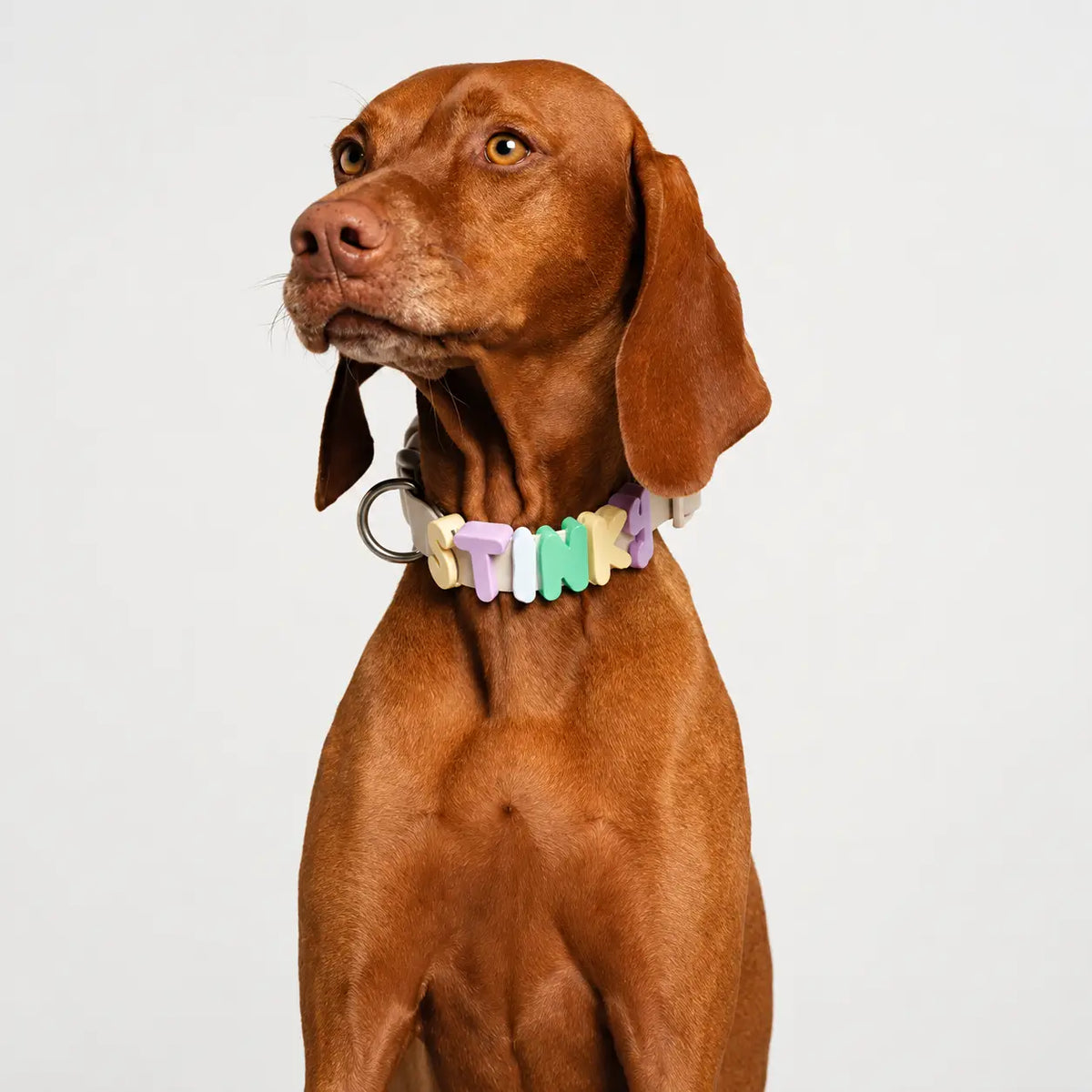 #Color_Oat