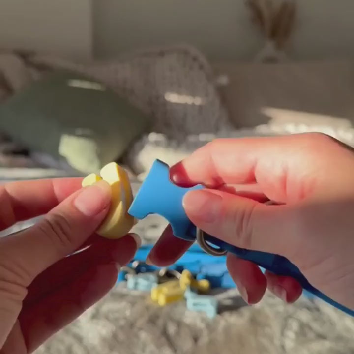 #color_Blueberry
